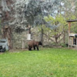 Meet your Posher, Robyn